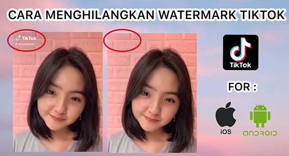 Cara Download Video Tiktok Tanpa Watermark Tanpa Aplikasi 2022