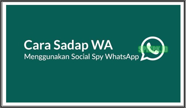 Cara Sadap WA Mudah Pakai Social Spy WhatsApp