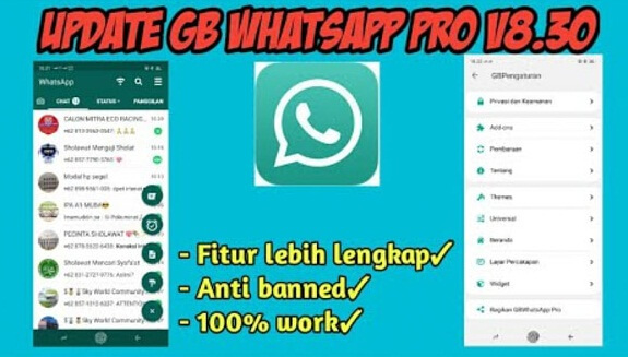 Fitur-Fitur Terbaru Jika Sudah Melakukan Update GB WhatsApp Apk