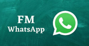 FM WhatsApp Apk Download FM WA Versi Mod Terbaru 2022 Asli