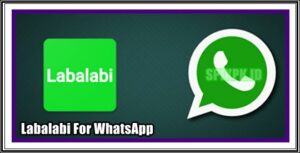 Labalabi For WhatsApp Apk Download Boom Chat WA Terbaru