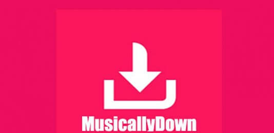 MusicallyDown Download Video Tiktok Tanpa Watermark Mp3 Mp4