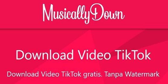 Cara Download Video dan MP3 Tiktok Tanpa Watermark Melalui MusicallyDown