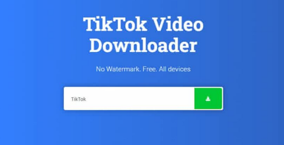 Snaptik App Download Video Tiktok Tanpa Watermark (WM) Online
