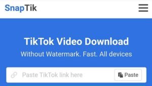 Snaptik App Download Video Tiktok Tanpa Watermark (WM) Online