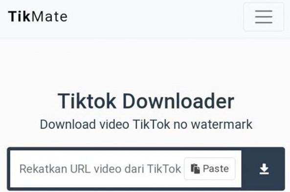 Tikmate App Download Video Tiktok Tanpa Watermark (Tanda Air)