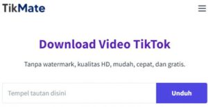 Tikmate App Download Video Tiktok Tanpa Watermark (Tanda Air)
