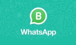download whatsapp business mod apk