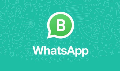 Fitur-Fitur Moderen WhatsApp Business Mod Apk